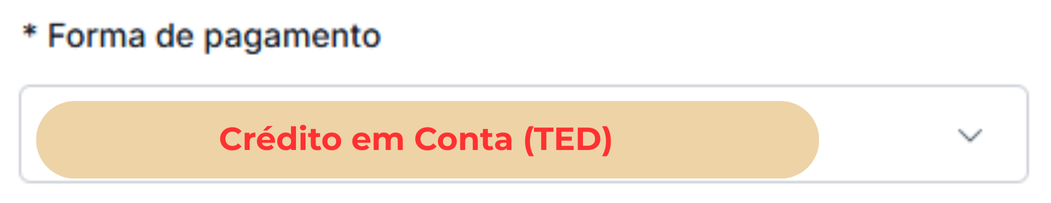 Como enviar uma Nota de Débito ou Nota Fiscal para a Loggi (5).png